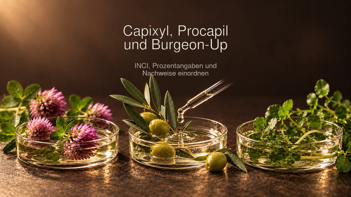 Drei gläserne Serumgefäße mit Rotklee, Olivenblättern und Brunnenkresse auf dunkelbraunem Hintergrund. Die Bildaufschrift ordnet Capixyl, Procapil und Burgeon-Up anhand von INCI, Prozentangaben und Nachweisen ein.