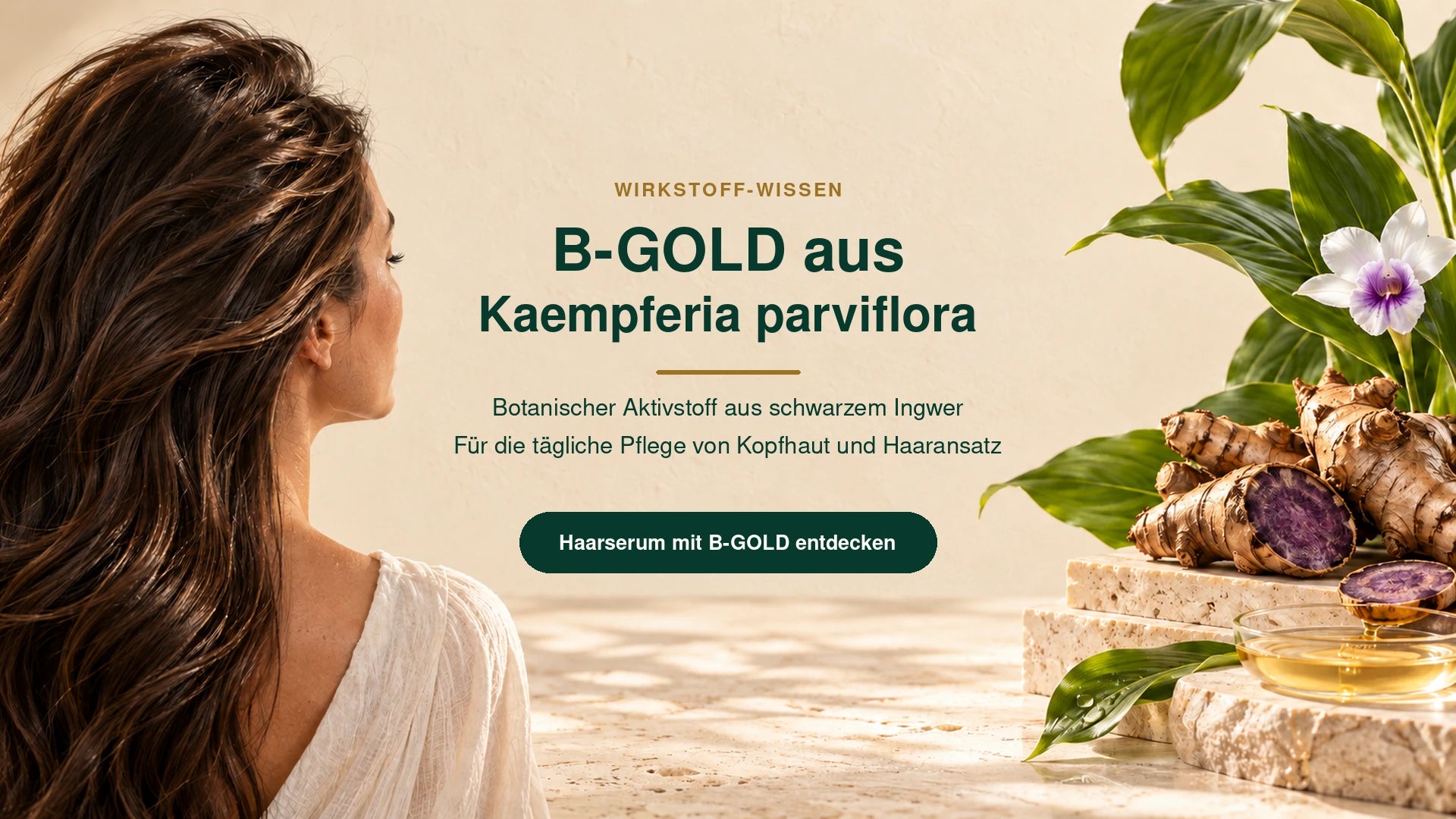 B-GOLD aus Kaempferia parviflora mit Schwarzem Ingwer